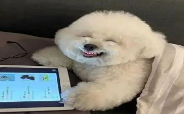 暑假最开心的一天作文7篇