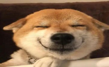 写开心作文500字6篇