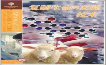 克隆的我作文300字7篇