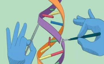 中班科学活动沉与浮教案最新5篇