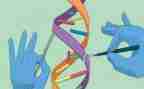 中班科学活动沉与浮教案最新5篇