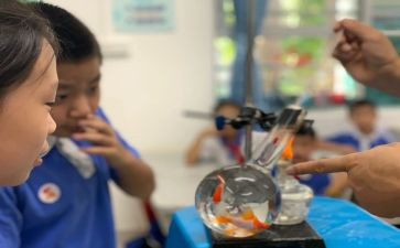 小学科学课作文参考8篇