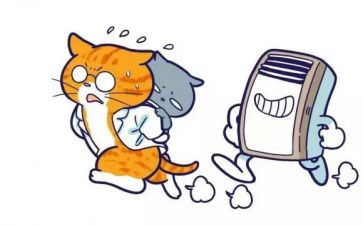 空调销售心得体会5篇