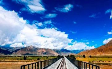 军训的苦作文500字优质8篇