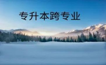 跨专业申请书模板优秀7篇