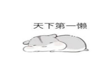 我不再懒惰作文7篇