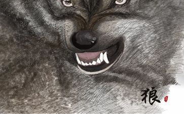 《狼》的读后感500字模板6篇