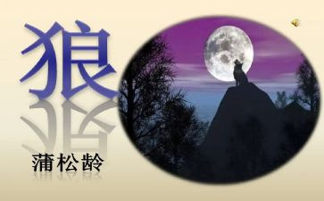 《狼》读后感600字精选8篇