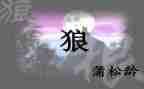 《狼》的读后感500字通用5篇
