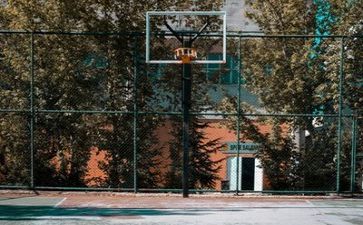 有篮球的作文优质5篇