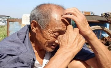 探空巢老人活动总结参考8篇