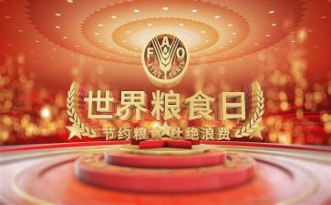 幼儿园粮食节活动方案7篇