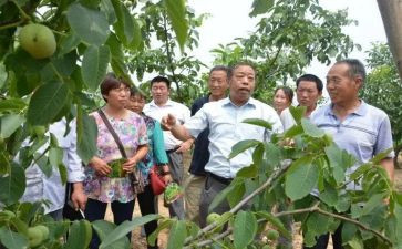 李保国事迹心得8篇