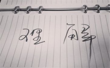 理解优秀作文6篇