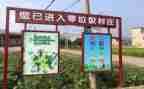 垃圾分类策划活动方案最新8篇