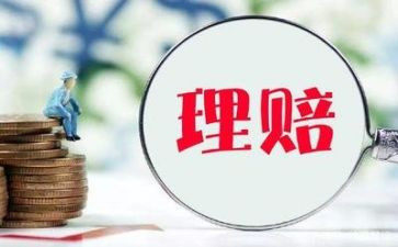 保险理赔后工作总结5篇