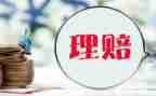 保险理赔后工作总结5篇