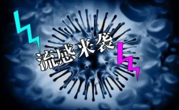 2024流感作文5篇