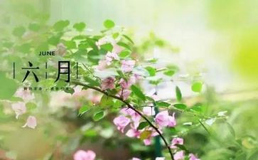 2024年六月作文参考5篇
