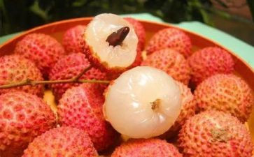 荔枝蜜的读后感5篇