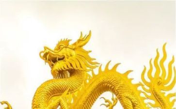 划龙舟幼儿园教案5篇