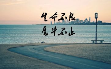与努力有关的演讲稿8篇