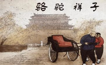 读骆驼祥子写心得体会通用5篇