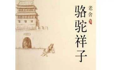 骆驼作文500字8篇