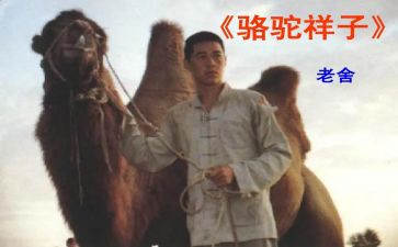抽骆驼读后感7篇