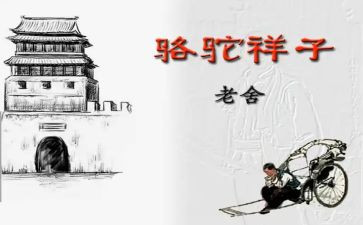 骆驼祥子的心得体会300字7篇