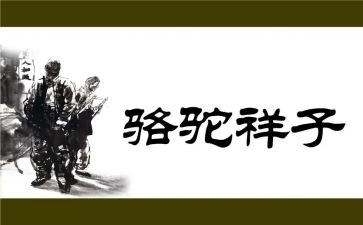 骆驼祥子的心得体会通用8篇