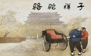 抽骆驼读后感优质7篇