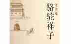 骆驼作文500字8篇