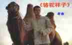 抽骆驼读后感7篇
