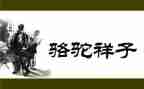 骆驼祥子的心得体会通用8篇