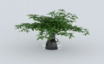 绿色校园低碳的演讲稿6篇