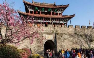 旅游与环境作文6篇