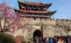 旅游与环境作文6篇