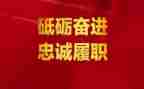 履职总结和工作总结参考8篇