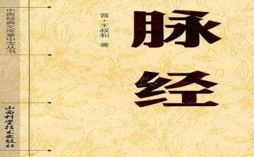 脉经读书心得参考6篇