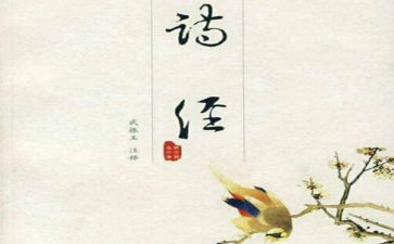 氓读后感500字5篇