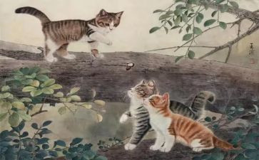 猫来了教案反思最新6篇