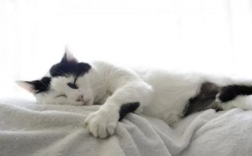 天猫2023工作计划7篇