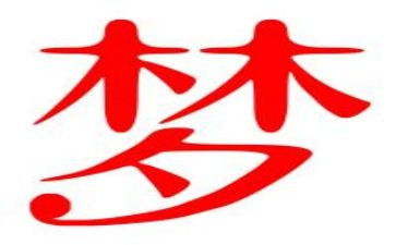 职业梦的心得体会最新5篇