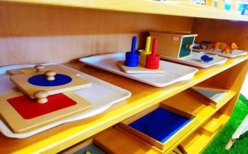 幼儿蒙氏小班学期总结通用5篇