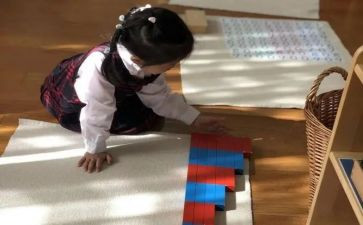 幼儿园小班蒙氏活动教案6篇
