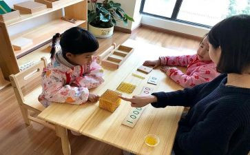 蒙台梭利心得体会5篇