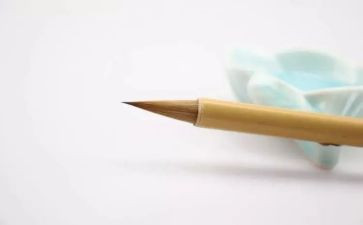 为书痴迷的作文8篇