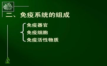 社区计划免疫工作计划6篇