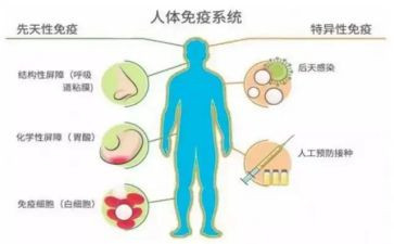 计划免疫科工作计划6篇